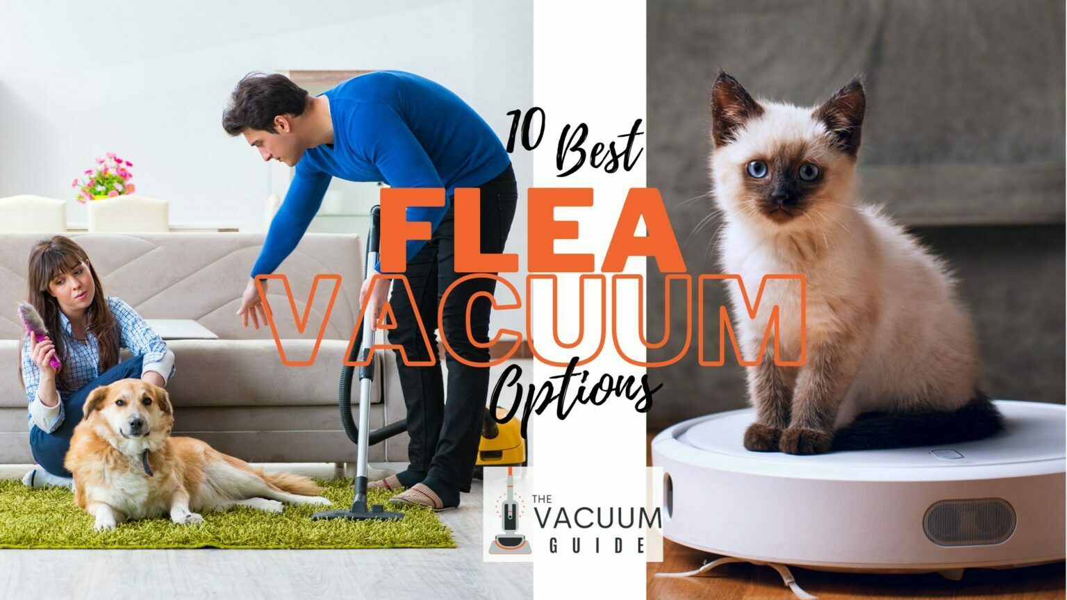 10 Best Best Flea Vacuum Options